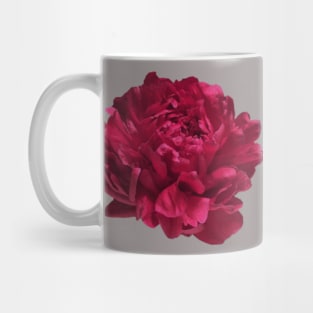 Red Peony Close-up Mug